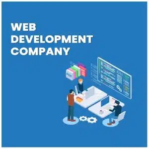 Leading Web Development Company Near You To Customize Website - Ak Softco