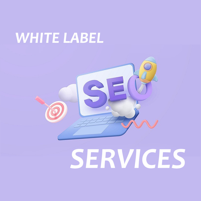 white label website audit services